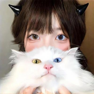 谎言迷宫